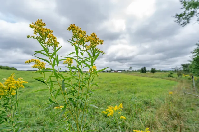 $345,600 | Tbd-72-ac Tbd-72-ac 355th Avenue, Hillman, MN 56338