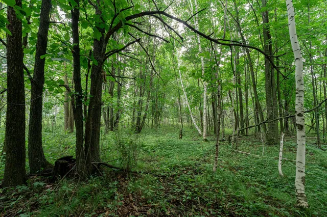 $345,600 | Tbd-72-ac Tbd-72-ac 355th Avenue, Hillman, MN 56338