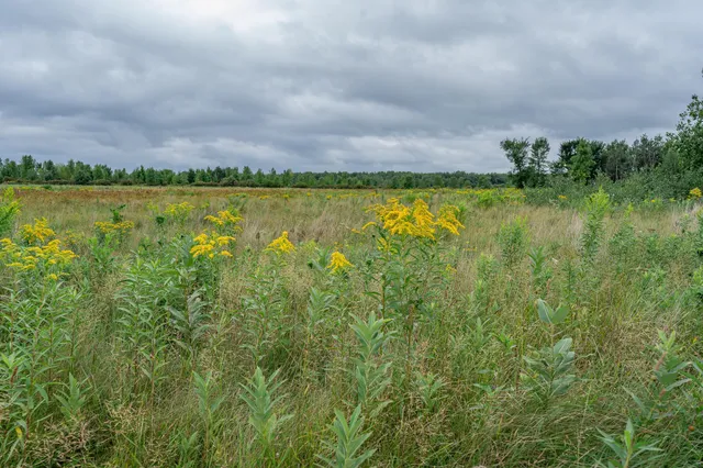 $345,600 | Tbd-72-ac Tbd-72-ac 355th Avenue, Hillman, MN 56338