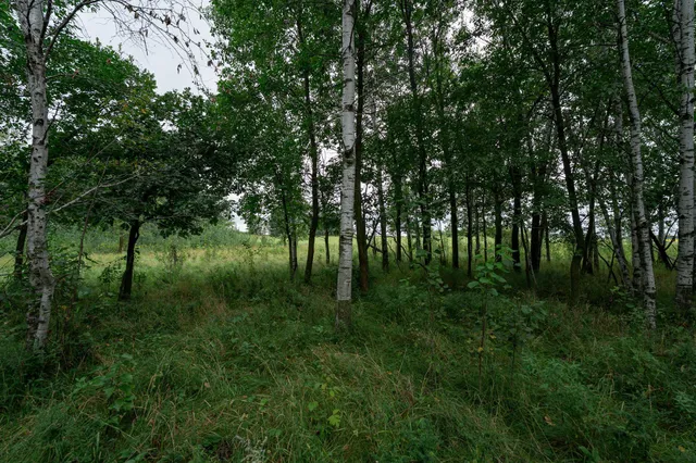 $345,600 | Tbd-72-ac Tbd-72-ac 355th Avenue, Hillman, MN 56338