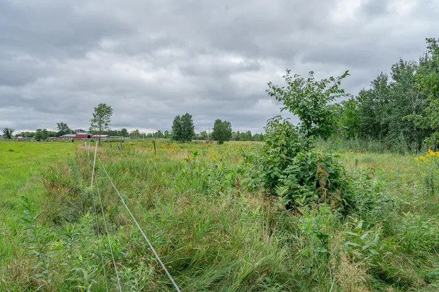 $345,600 | Tbd-72-ac Tbd-72-ac 355th Avenue, Hillman, MN 56338