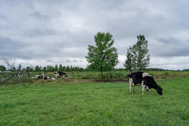 $345,600 | Tbd-72-ac Tbd-72-ac 355th Avenue, Hillman, MN 56338