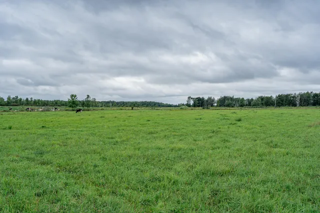 $345,600 | Tbd-72-ac Tbd-72-ac 355th Avenue, Hillman, MN 56338