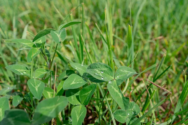 $345,600 | Tbd-72-ac Tbd-72-ac 355th Avenue, Hillman, MN 56338