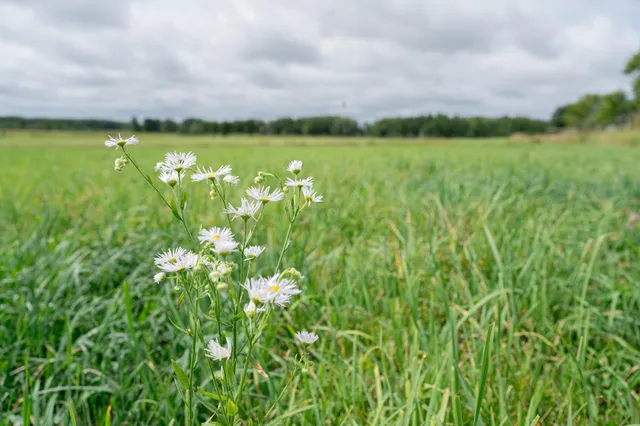 $345,600 | Tbd-72-ac Tbd-72-ac 355th Avenue, Hillman, MN 56338