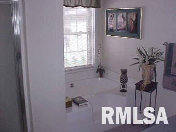 11417 Sam Pyle Bridge Road Benton, IL 62812 - Photo 5 of 12 Gallery Image 5