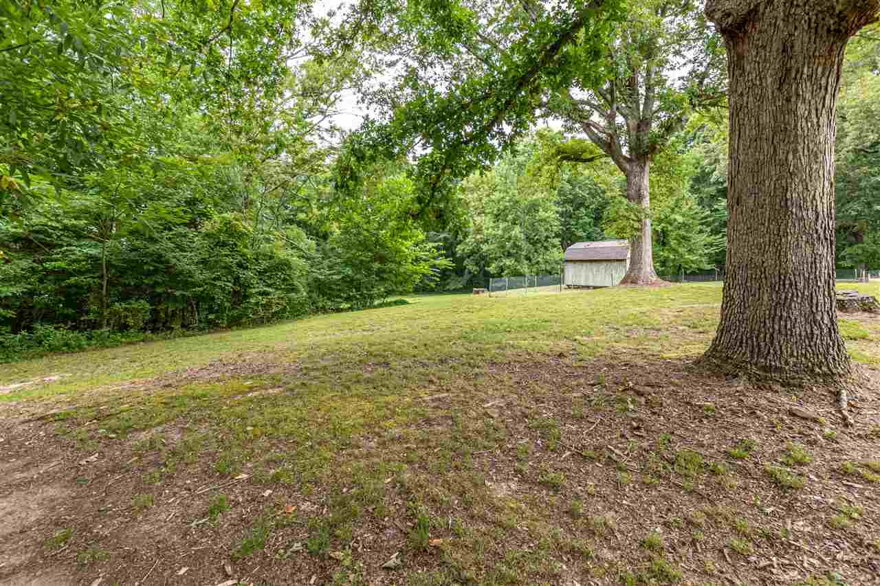 301 Camden Road Parsons, TN 38363 - Photo 4 of 24 Photo 4