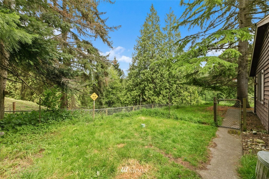 23525 27th Avenue Southeast Bothell, WA 98021 - Photo 22 of 40 a large tree with lots of green space