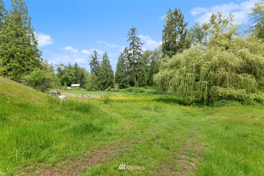 23525 27th Avenue Southeast Bothell, WA 98021 - Photo 30 of 40 a big yard with lots of green space
