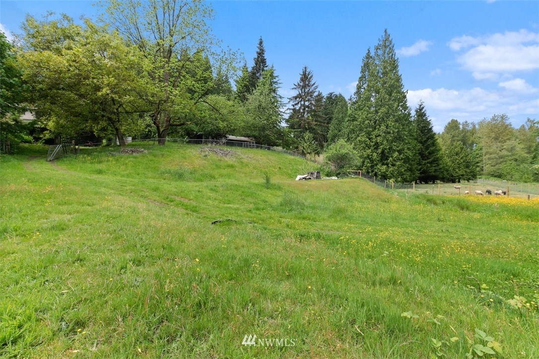 23525 27th Avenue Southeast Bothell, WA 98021 - Photo 32 of 40 a view of an outdoor space and a yard