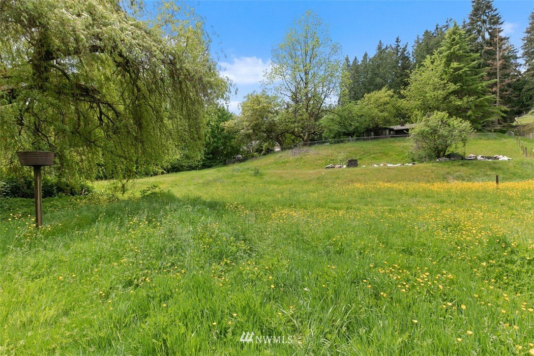 23525 27th Avenue Southeast Bothell, WA 98021 - Photo 33 of 40 a view of a field with a tree