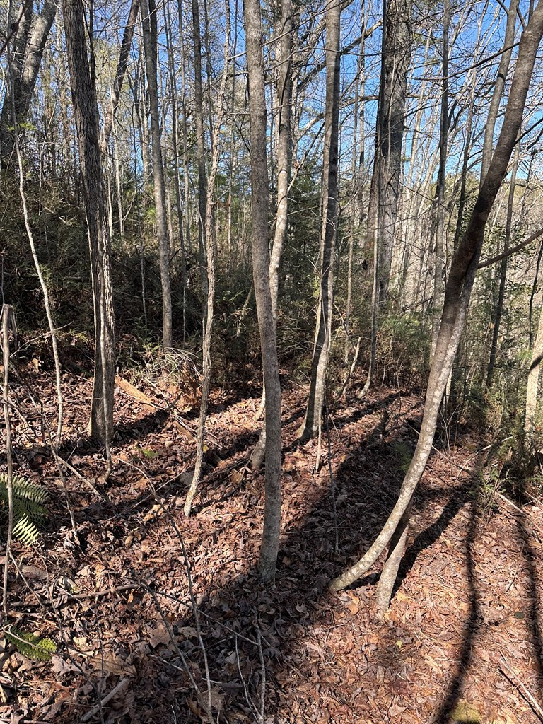 1.5-acre Trail Road Murphy, NC 28906 - Photo 15 of 17 Gallery Image 15