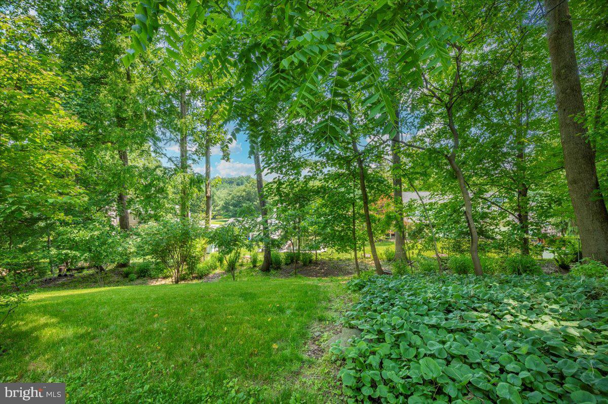 302 Notley Court Silver Spring, MD 20905 - Photo 37 of 42