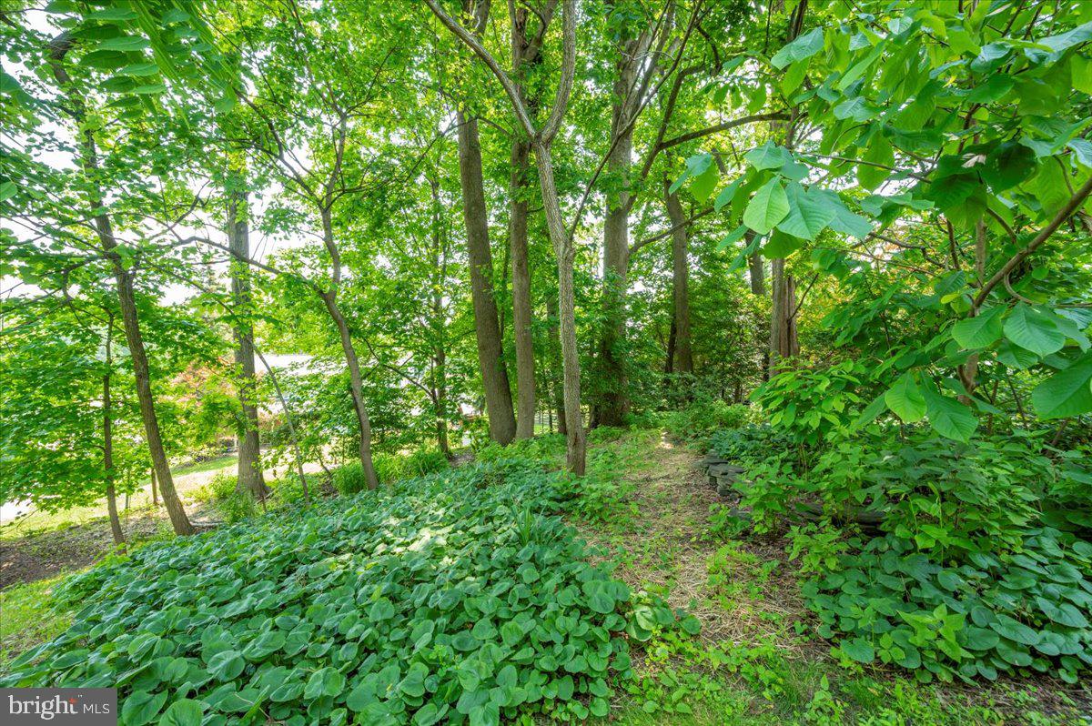 302 Notley Court Silver Spring, MD 20905 - Photo 38 of 42