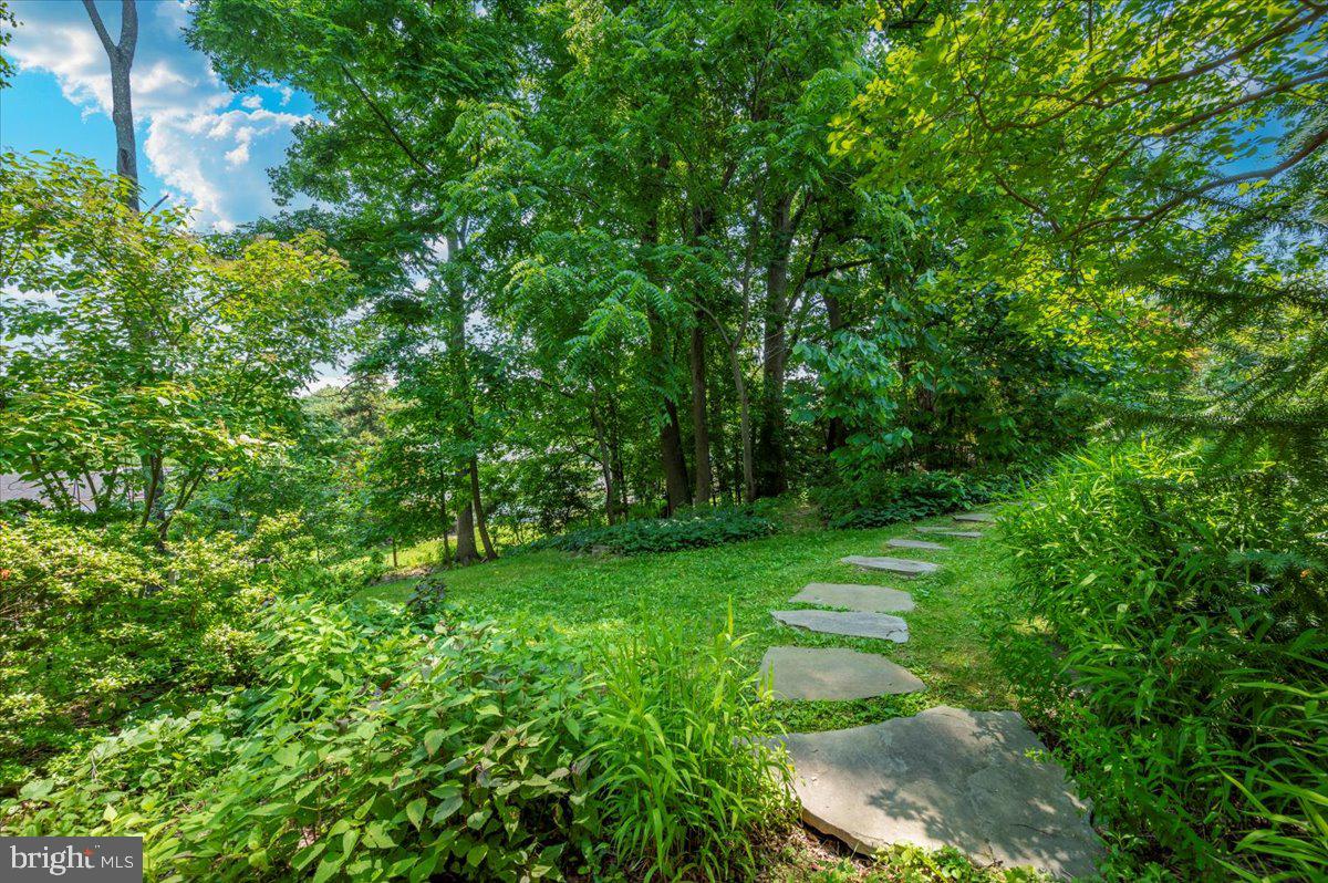 302 Notley Court Silver Spring, MD 20905 - Photo 40 of 42