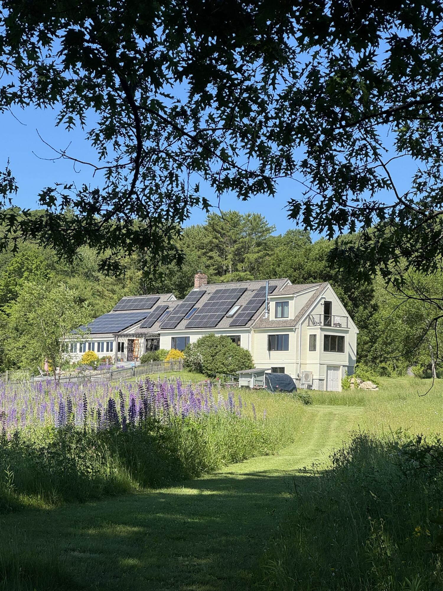 26 Martin Road Alna, ME 04535 - Photo 97 of 101 House Path Lupine