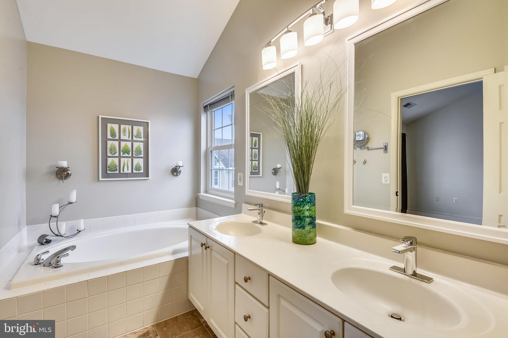 44042 Rising Sun Terrace Ashburn, VA 20147 - Photo 17 of 47 Primary Bathroom