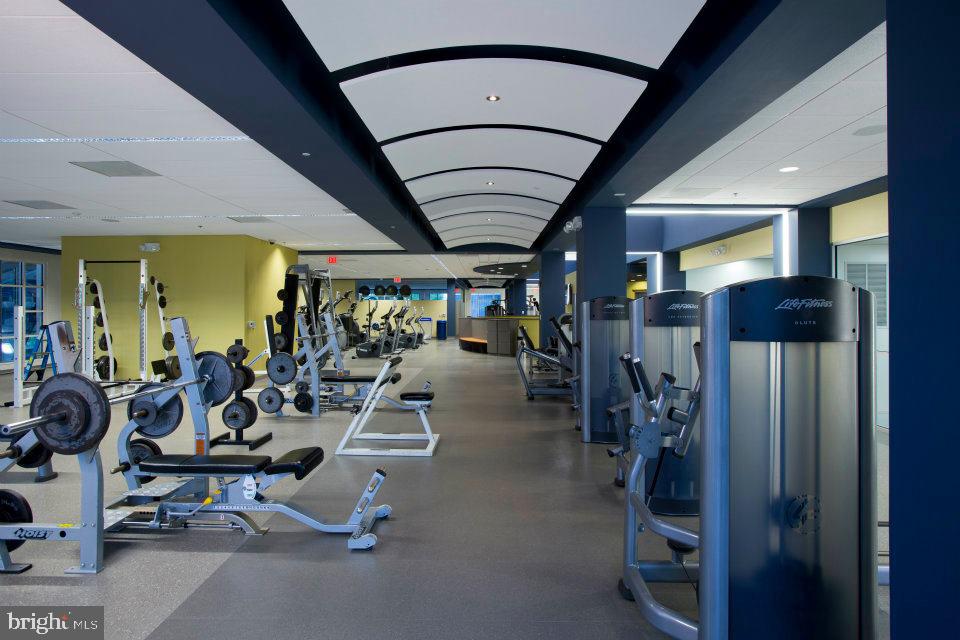 44042 Rising Sun Terrace Ashburn, VA 20147 - Photo 42 of 47 Ashburn Village Fitness Center