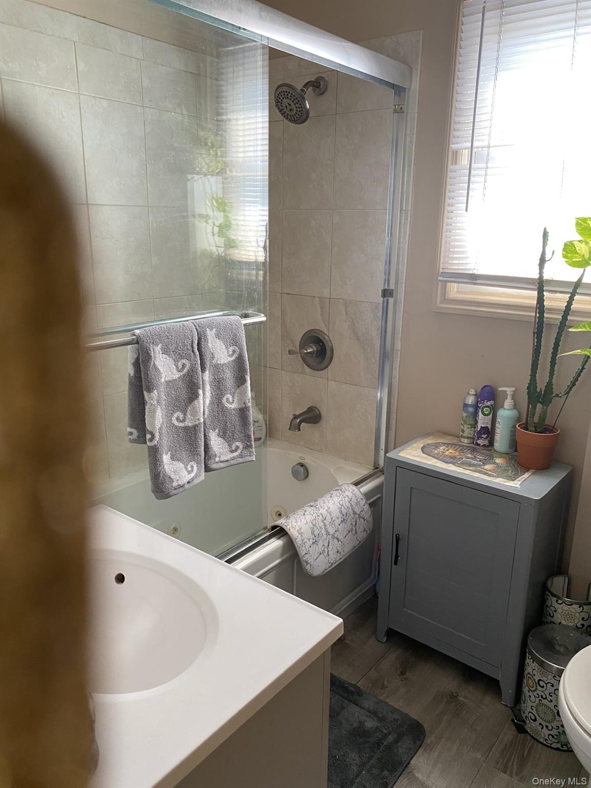 145-24 223rd Street Queens, NY 11413 - Photo 13 of 16 a bathroom with a tub sink and mirror