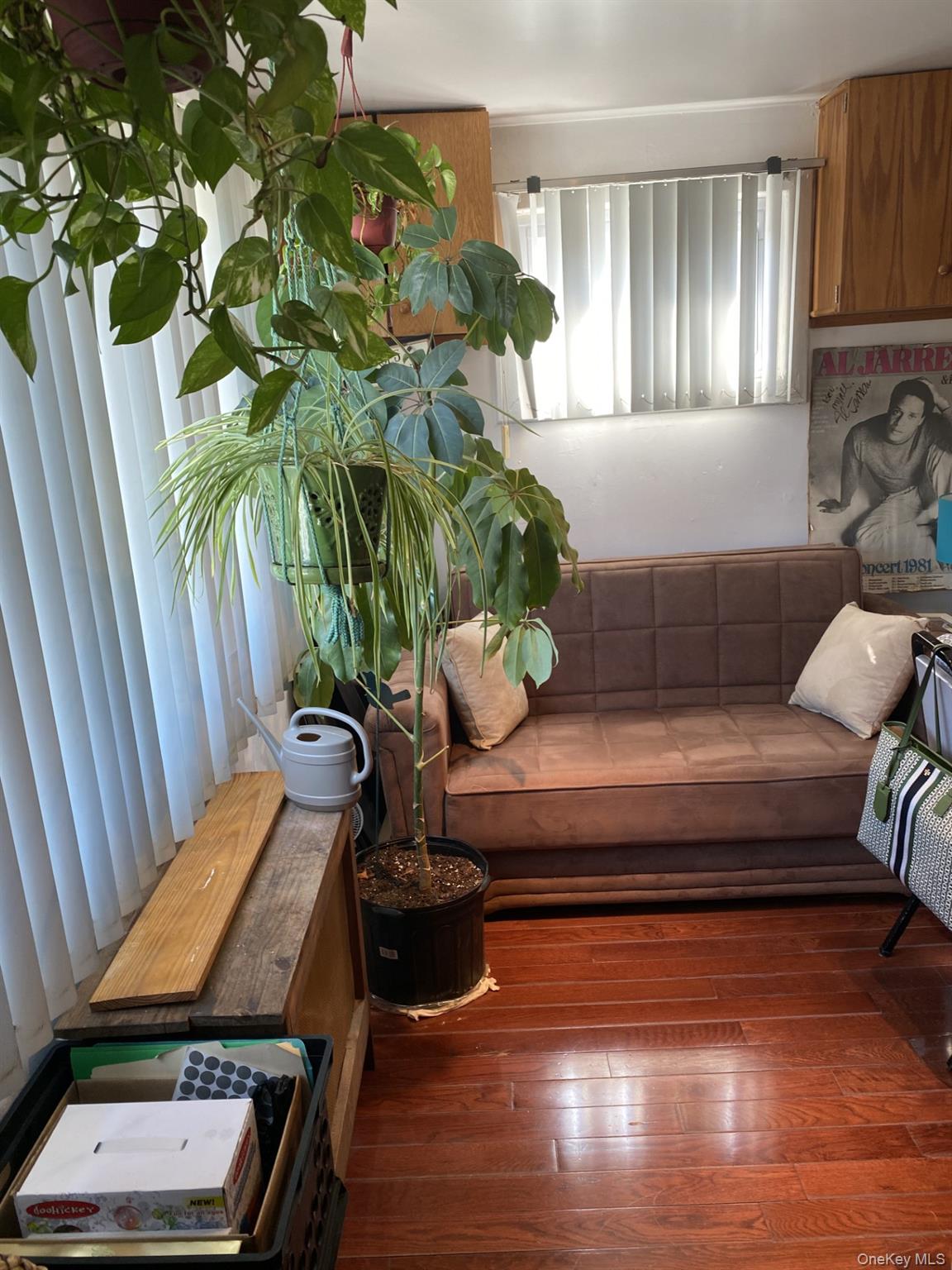 145-24 223rd Street Queens, NY 11413 - Photo 2 of 16 a living room with furniture and a potted plant