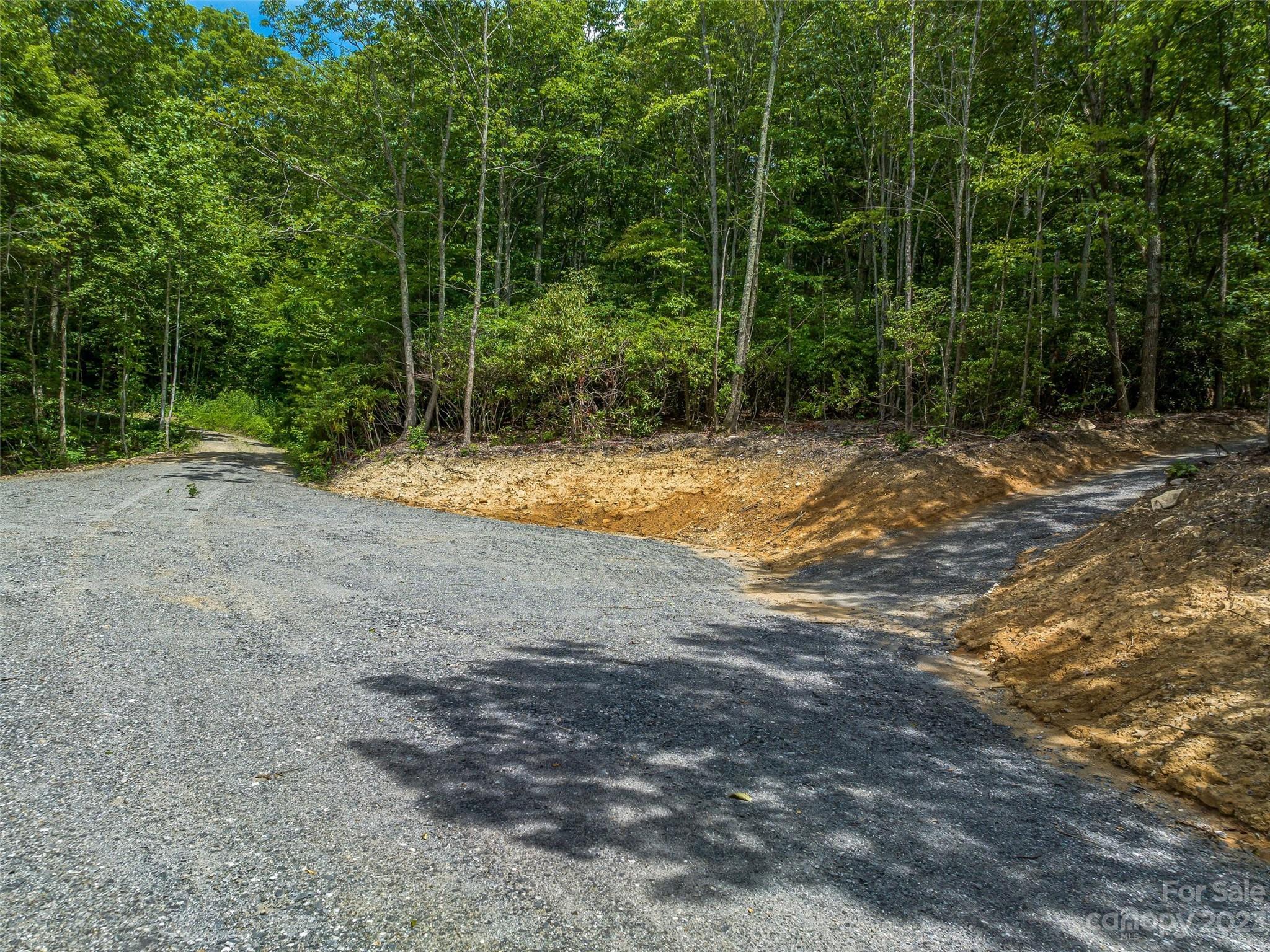 9999-4 Merrills Ridge Road, Unit 4 Asheville, NC 28803 - Photo 7 of 26 Gallery Image 7