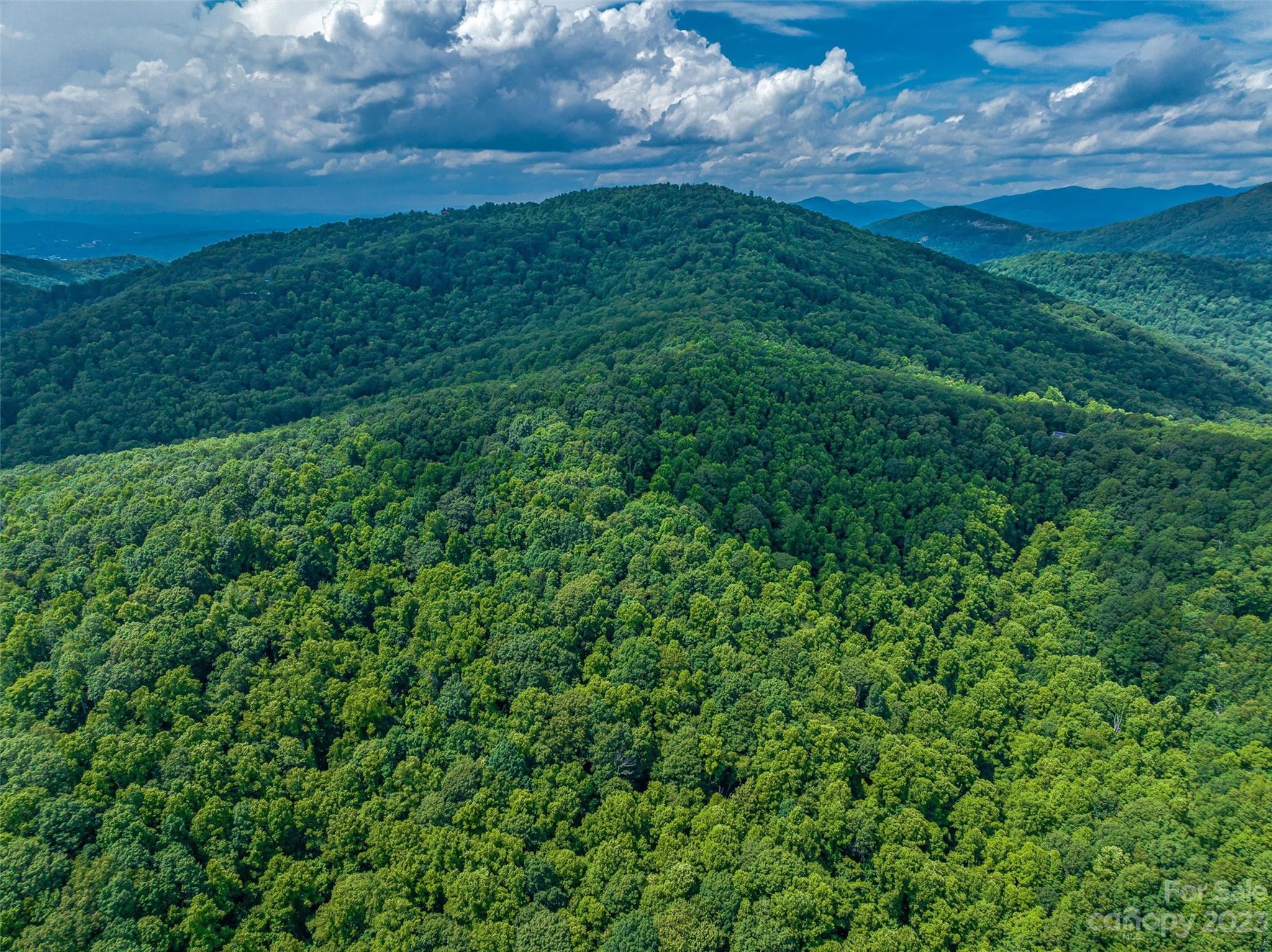 9999-4 Merrills Ridge Road, Unit 4 Asheville, NC 28803 - Photo 9 of 26 Gallery Image 9