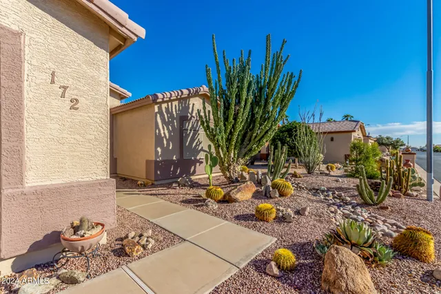 a view of a backyard with plants and chairs