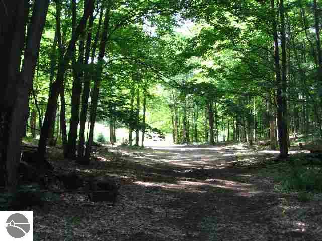 2376 North Haze Road Beulah, MI 49617 - Photo 2 of 9 1665132-1.JPG