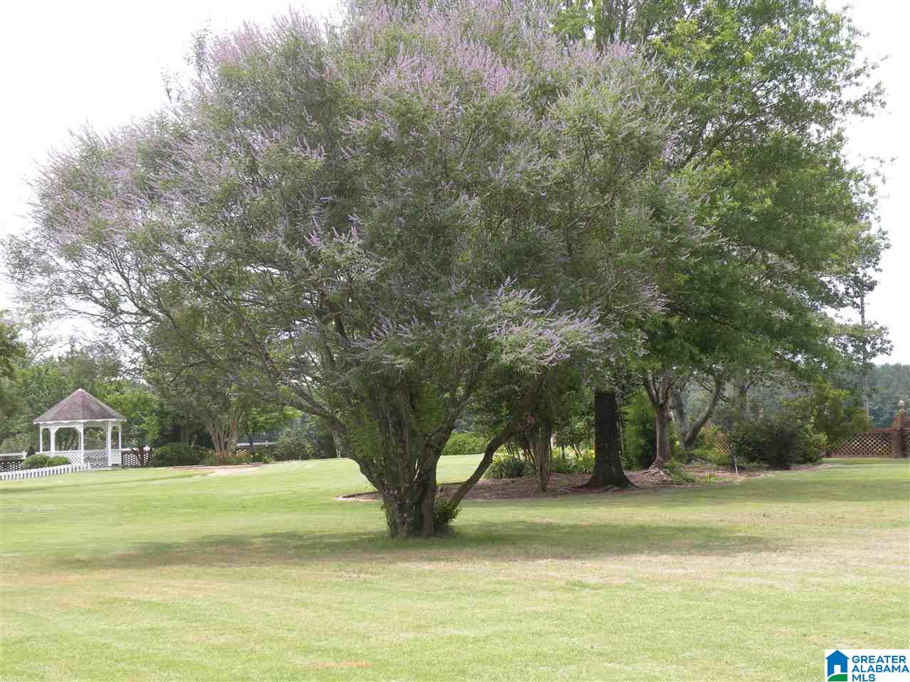 2593 Pecan Road Sylacauga, AL 35150 - Photo 46 of 48