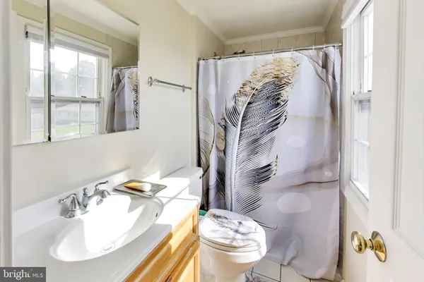a view of livingroom with furniture window and a ceiling fan