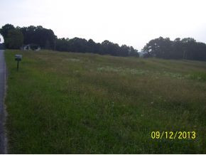 4295 Stone Dam Road Chuckey, TN 37641 - Photo 6 of 6 lay of the land