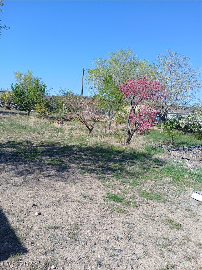 508 North Main Street Goldfield, NV 89013 - Photo 20 of 30 View of yard