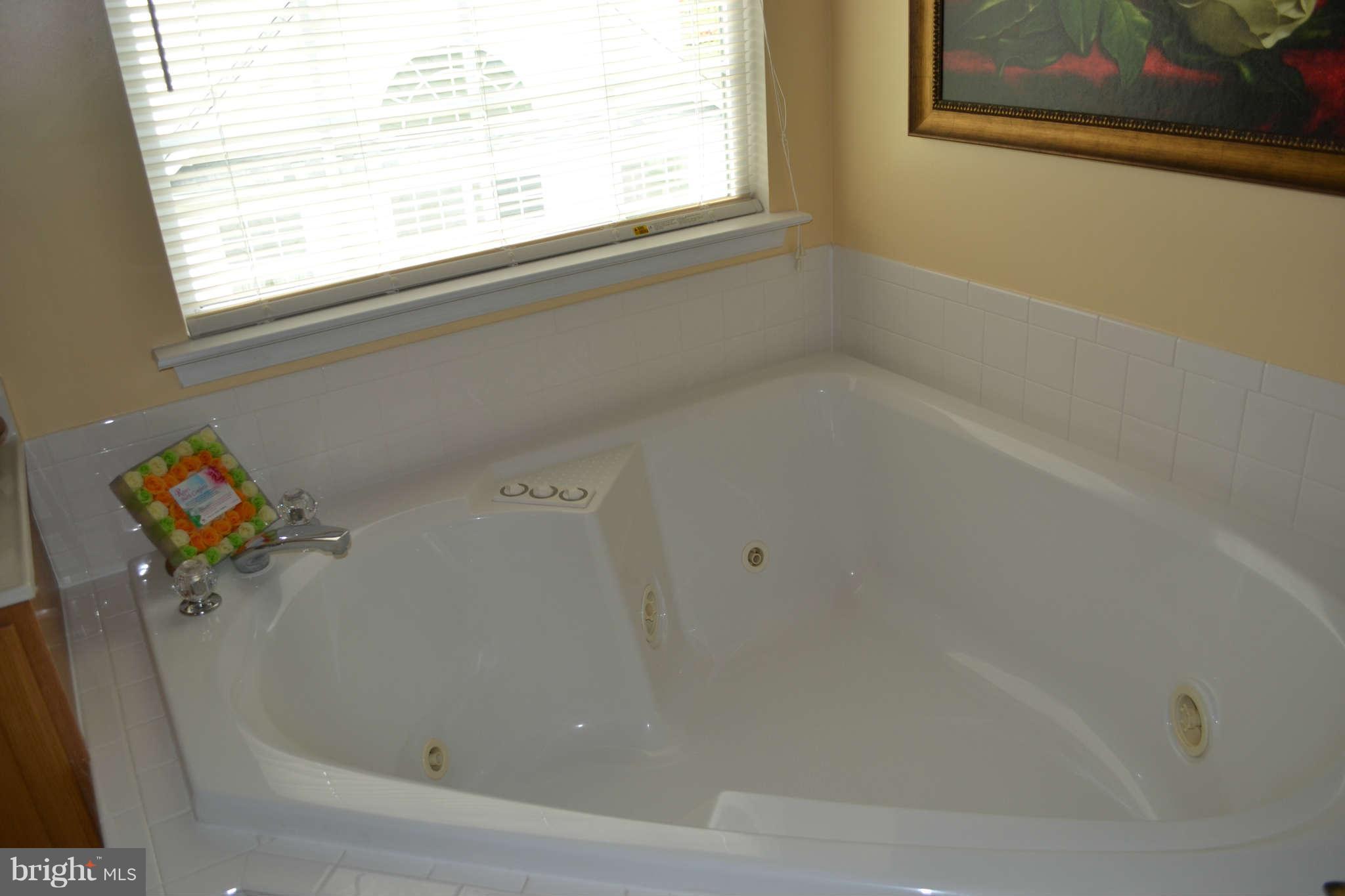 8306 Banister Road Severn, MD 21144 - Photo 16 of 21 Bath (Master)