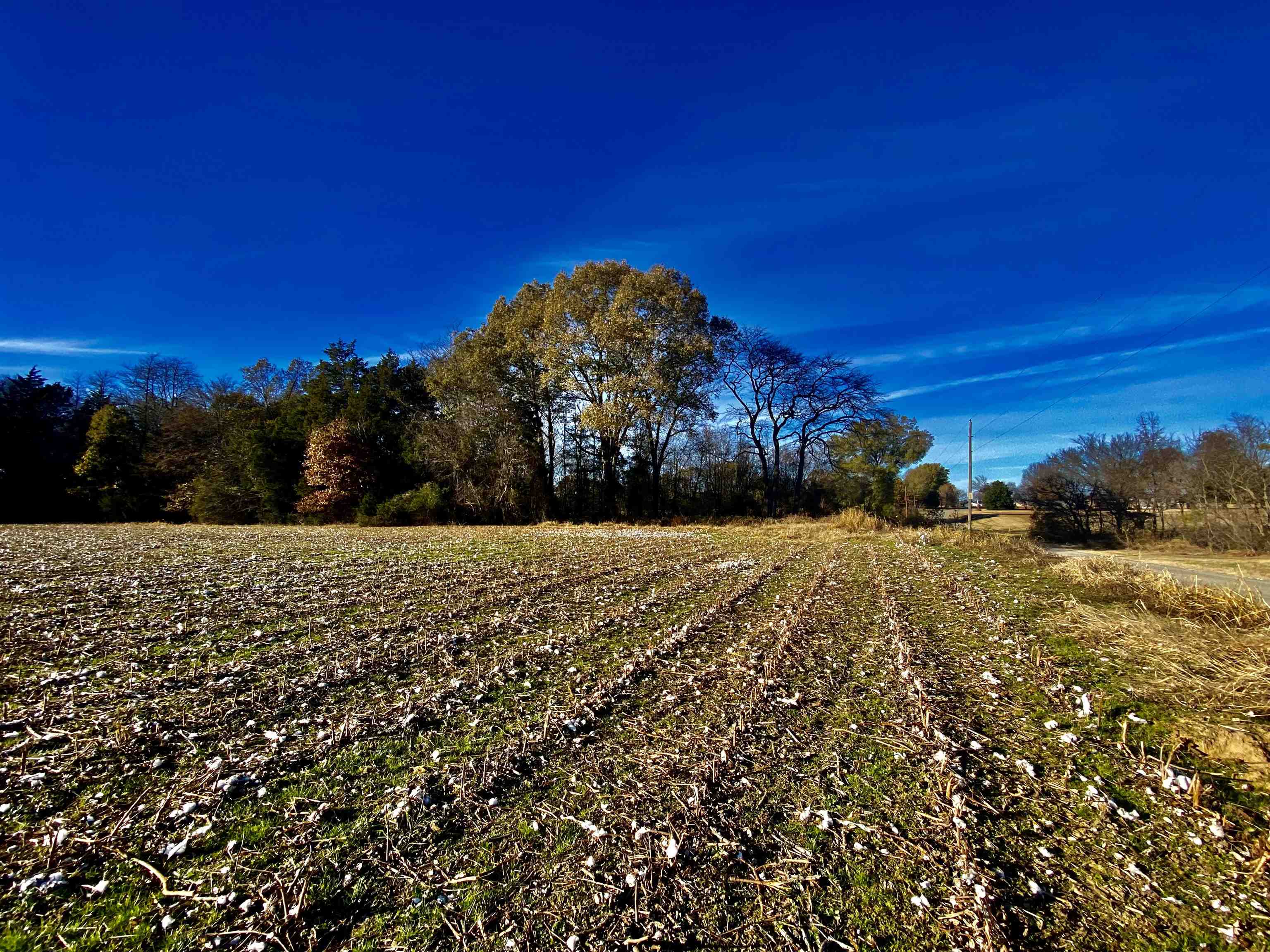 Tract 3 Fertile Valley Road Somerville, TN 38068 - Photo 3 of 9 Gallery Image 3