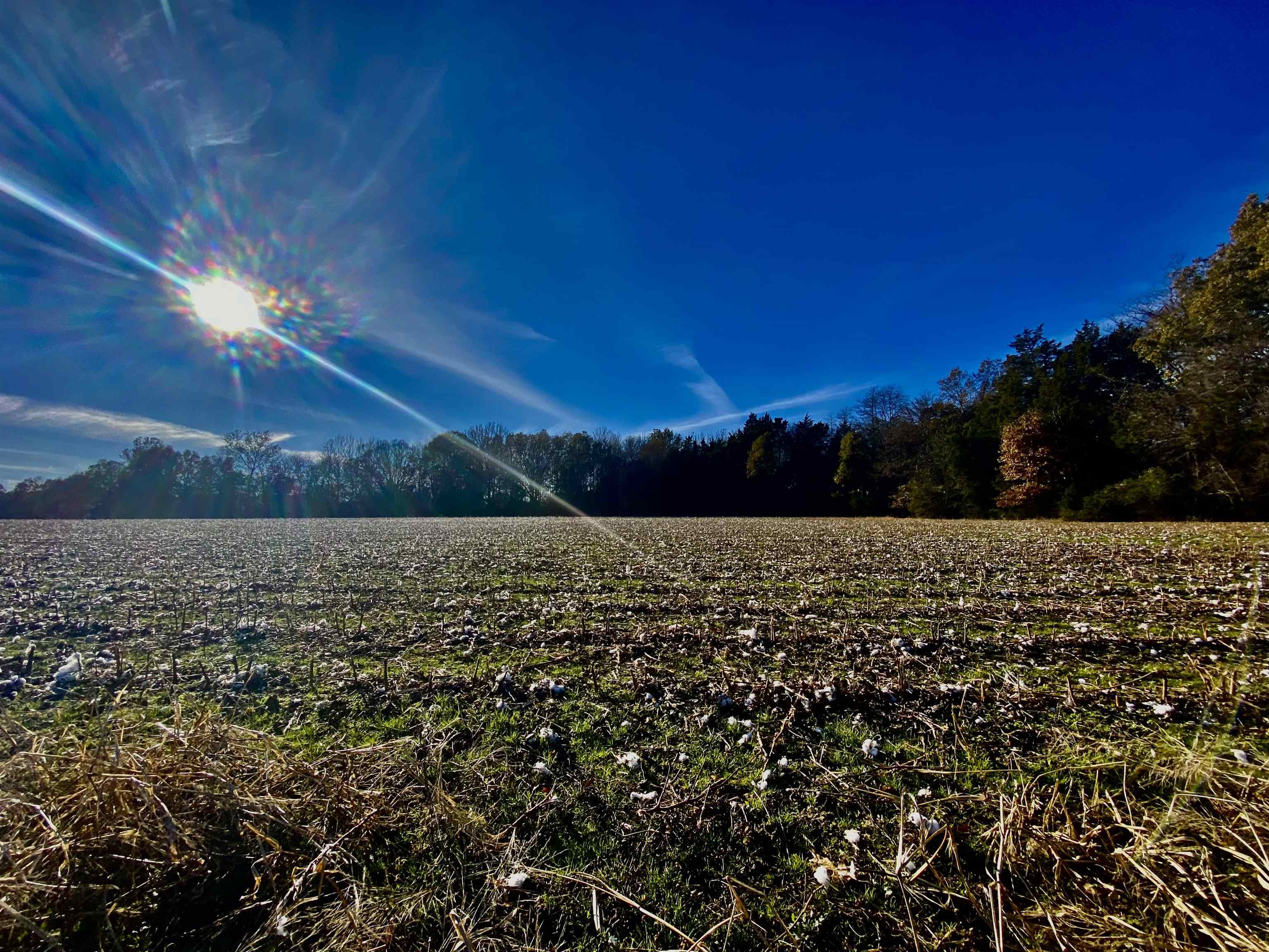 Tract 3 Fertile Valley Road Somerville, TN 38068 - Photo 4 of 9 Gallery Image 4