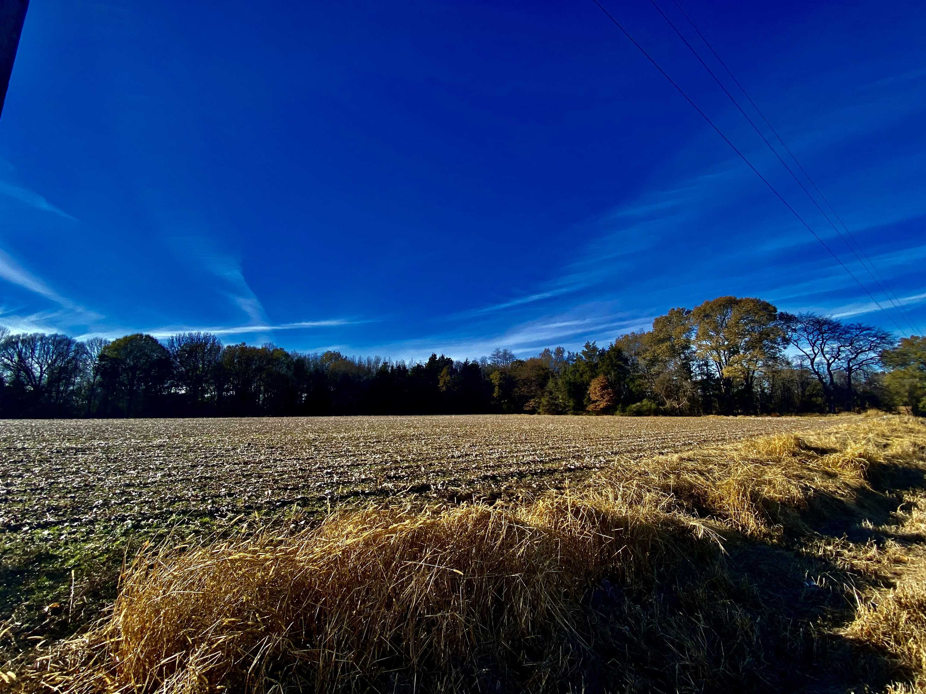 Tract 3 Fertile Valley Road Somerville, TN 38068 - Photo 7 of 9 Gallery Image 7