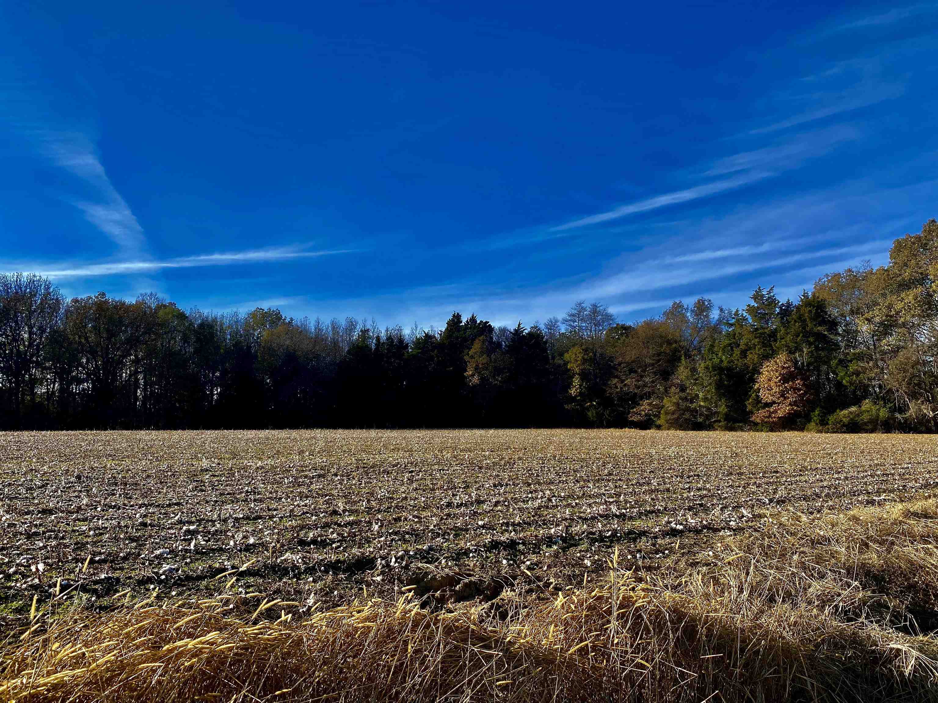 Tract 3 Fertile Valley Road Somerville, TN 38068 - Photo 8 of 9 Gallery Image 8