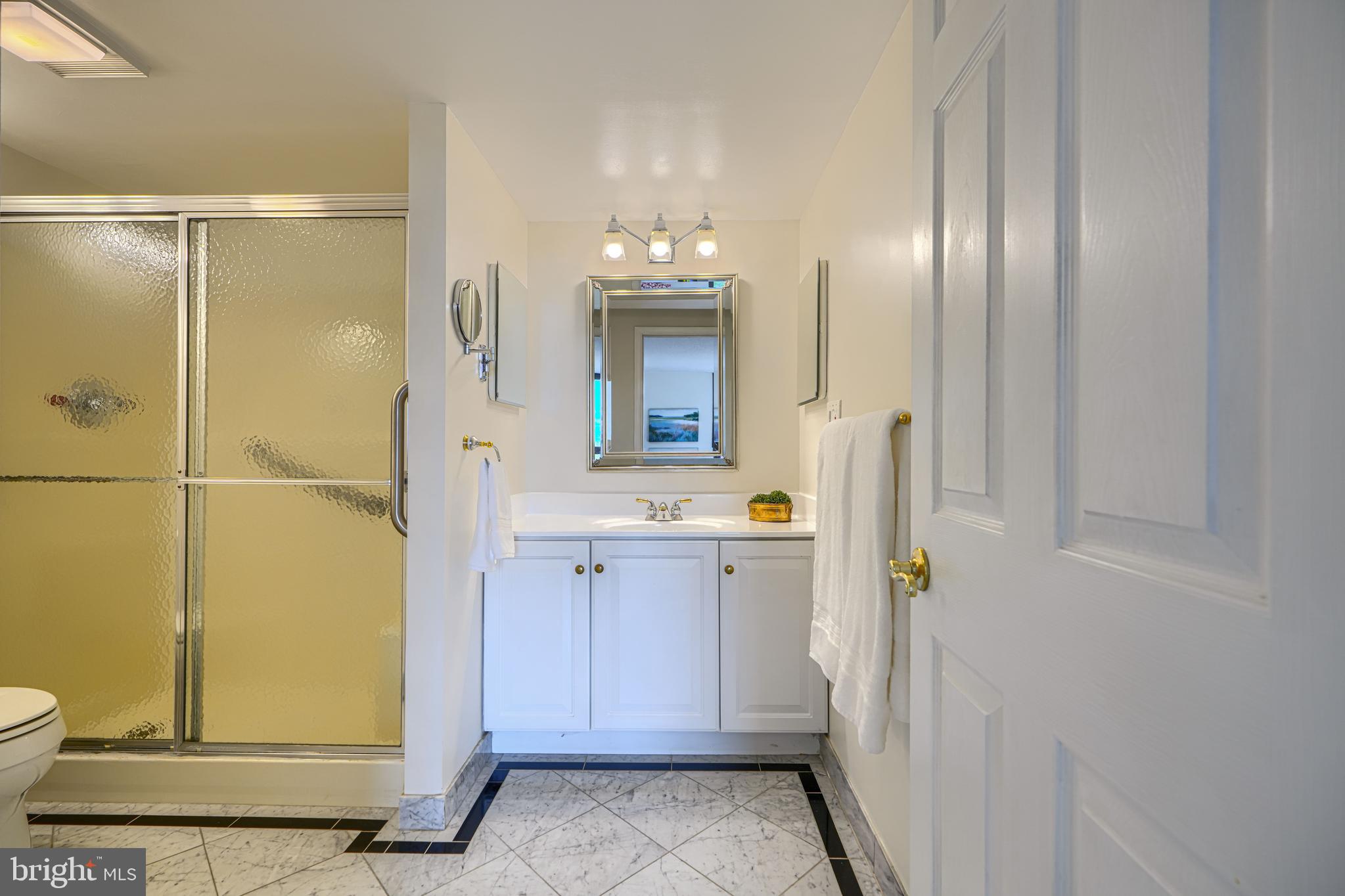 4100 North Charles Street, Unit 1010 Baltimore, MD 21218 - Photo 7 of 73 Primary ensuite bath
