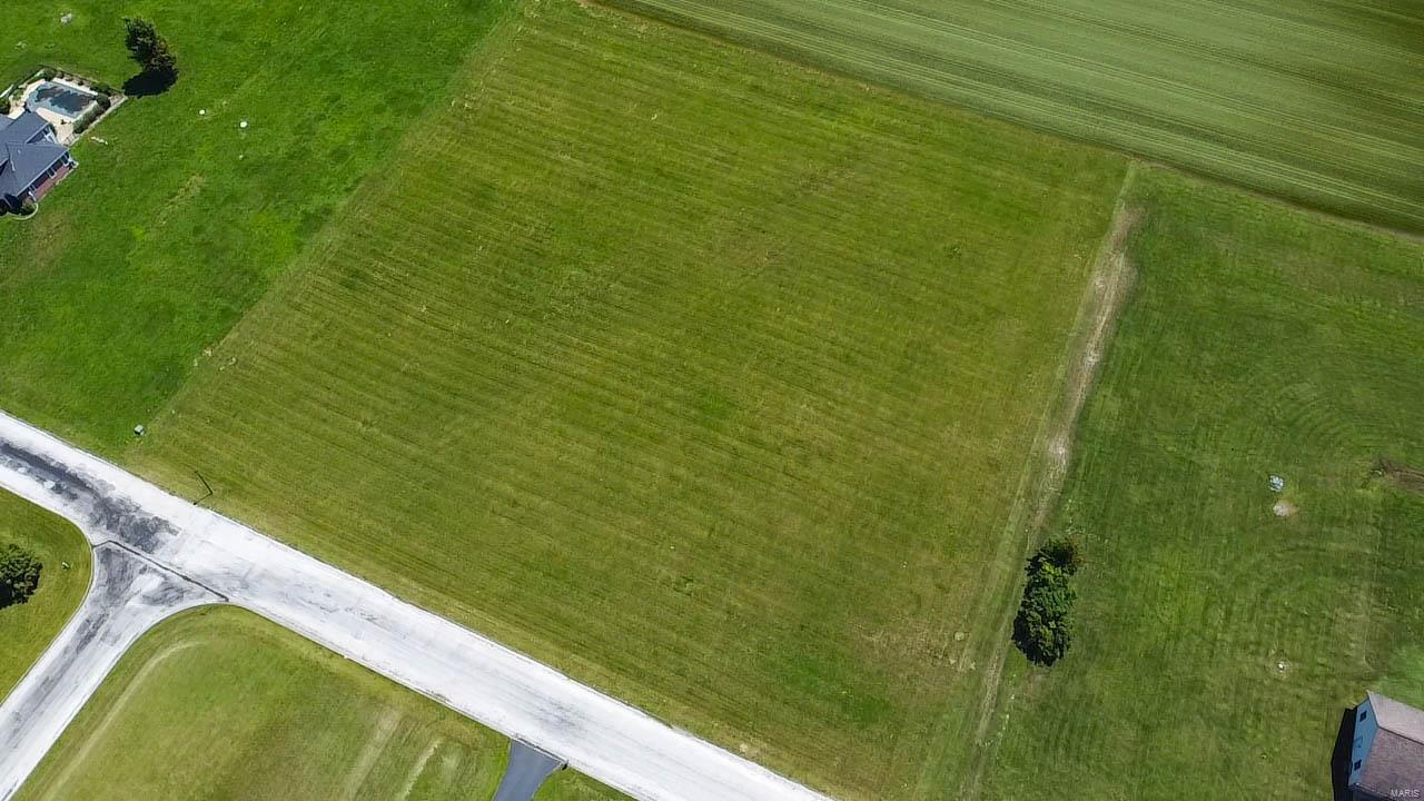 4664 Timber View Drive Waterloo, IL 62298 - Photo 3 of 5