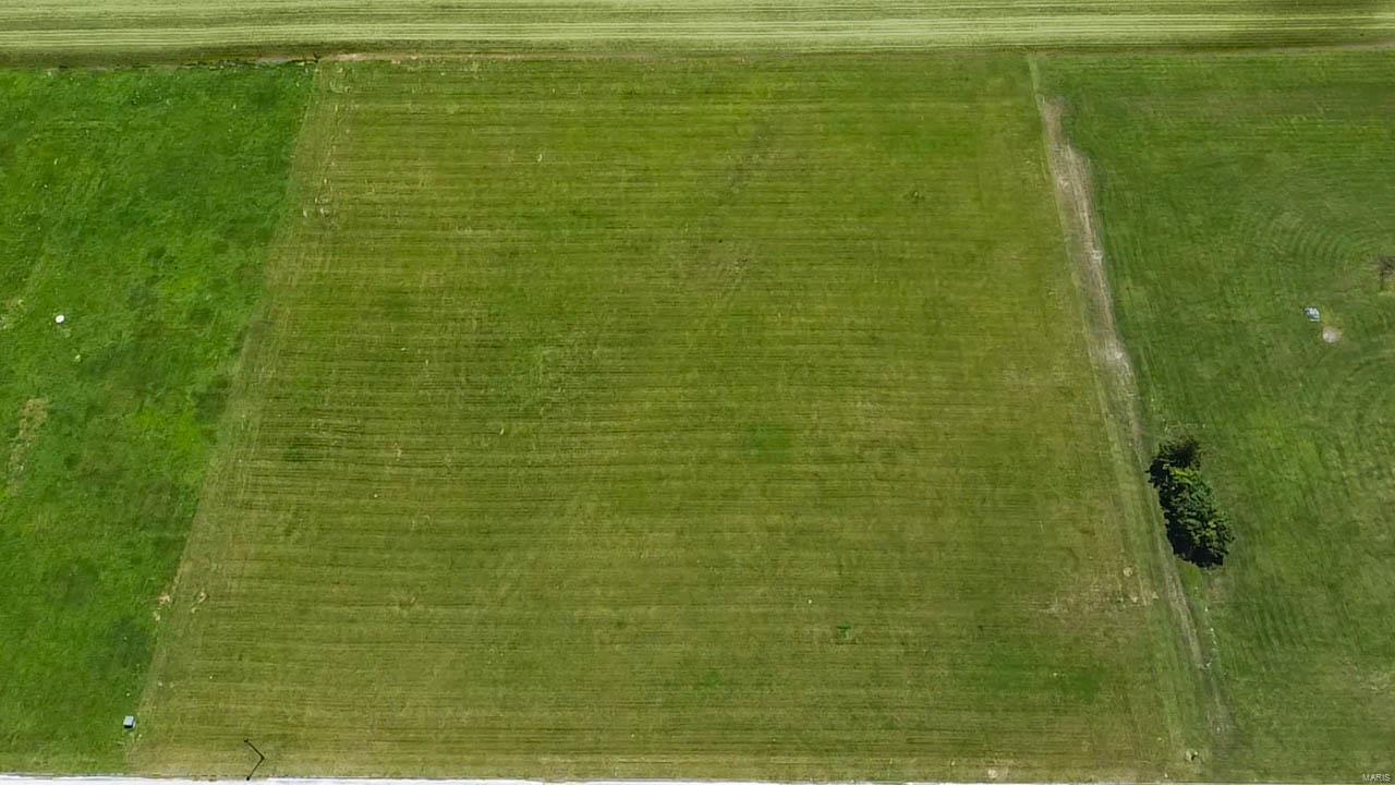 4664 Timber View Drive Waterloo, IL 62298 - Photo 4 of 5