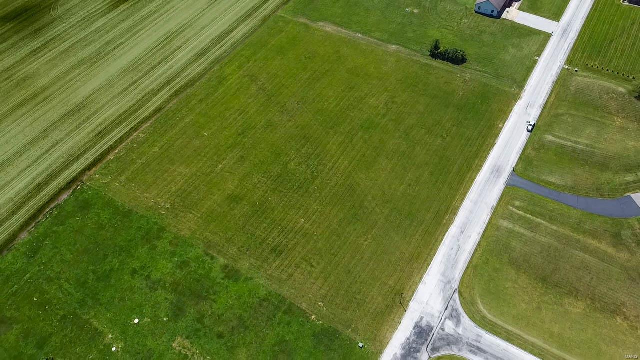 4664 Timber View Drive Waterloo, IL 62298 - Photo 5 of 5