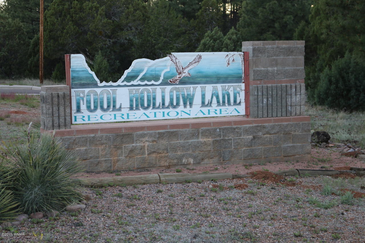 2990 West Alpine Rdg Road Show Low, AZ 85901 - Photo 7 of 8 Gallery Image 7