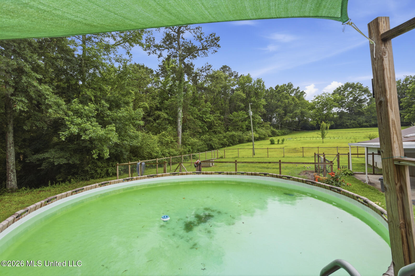 439 Poplar Springs Road Mendenhall, MS 39114 - Photo 11 of 41 439 Poplar Springs-8