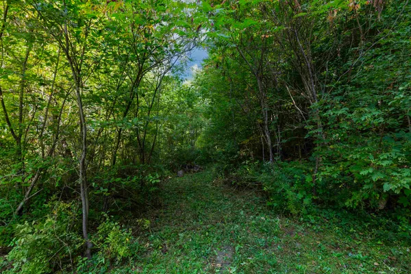 $250,000 | 0 Howe Hill Road, Unit LOT 1 & 2, South Royalton, VT 05068