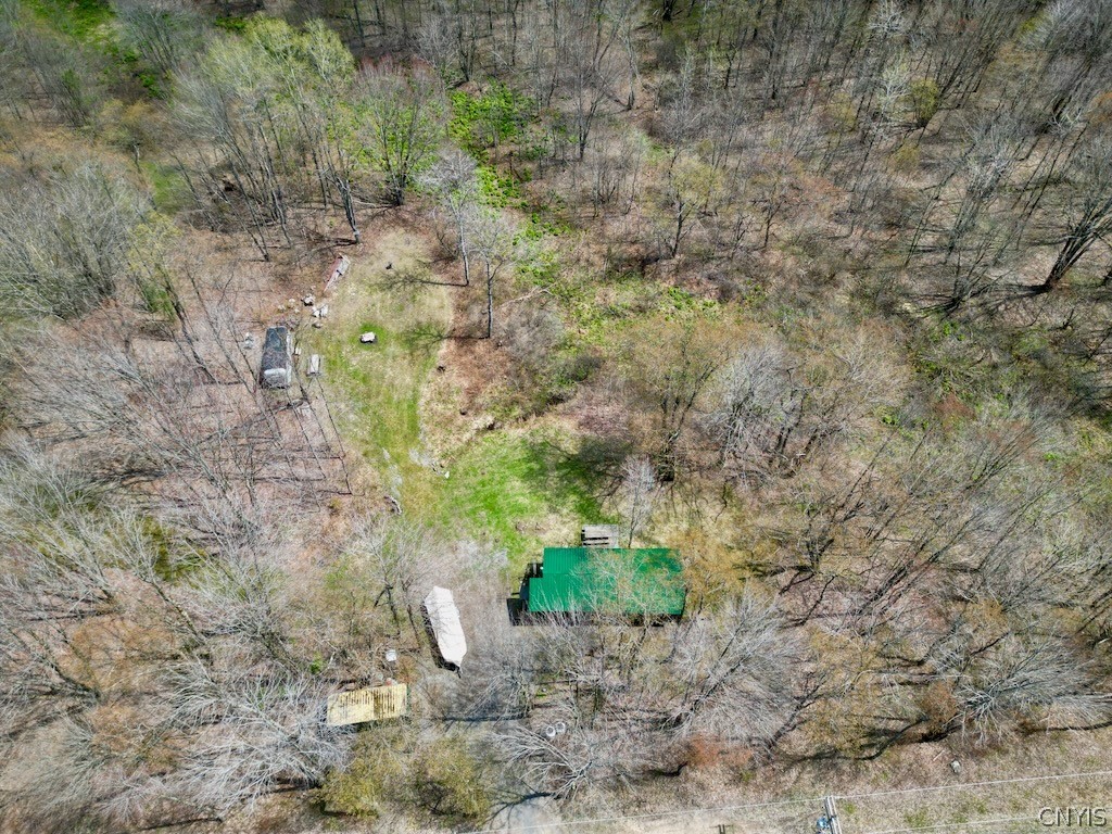 168 Carpenter Road Orwell, NY 13144 - Photo 34 of 43