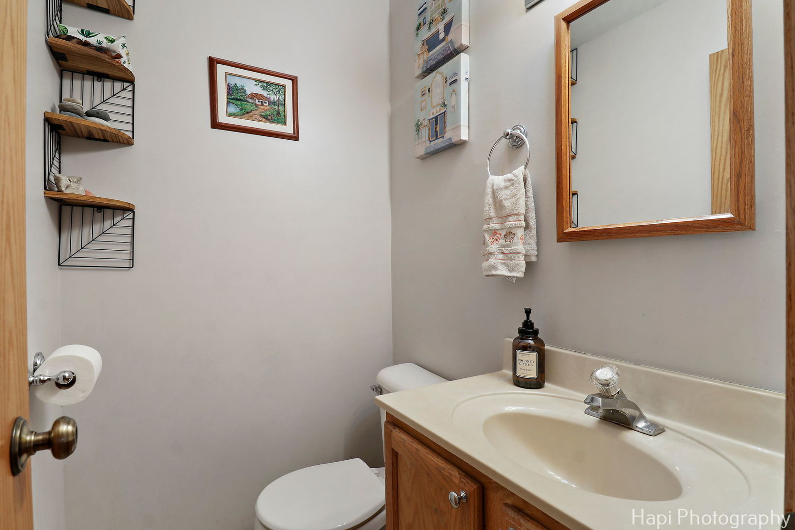 809 Village Circle Marengo, IL 60152 - Photo 10 of 19 a bathroom with a toilet sink vanity and mirror