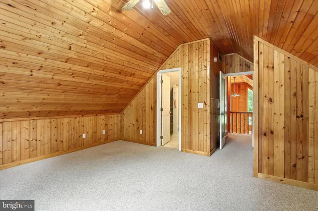 a view of a potted plant in a room