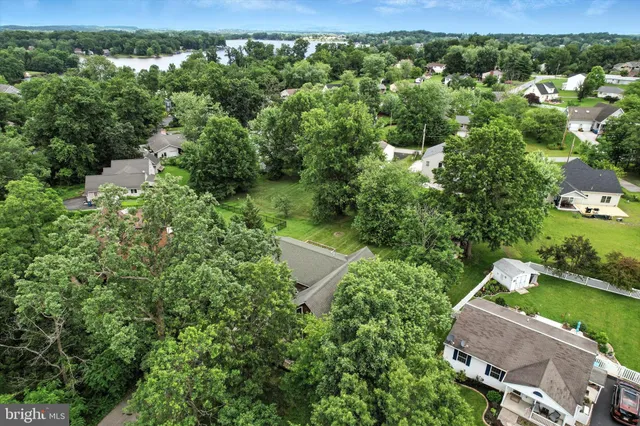 a view of a deck with large trees and wooden fence