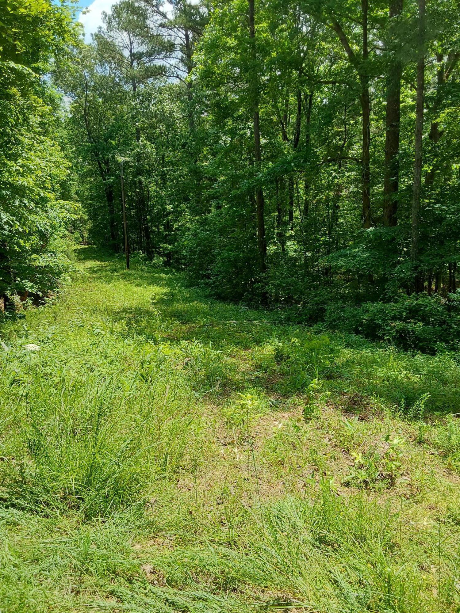 Old Duncan Road Arley, AL 35541 - Photo 5 of 5 1000001098
