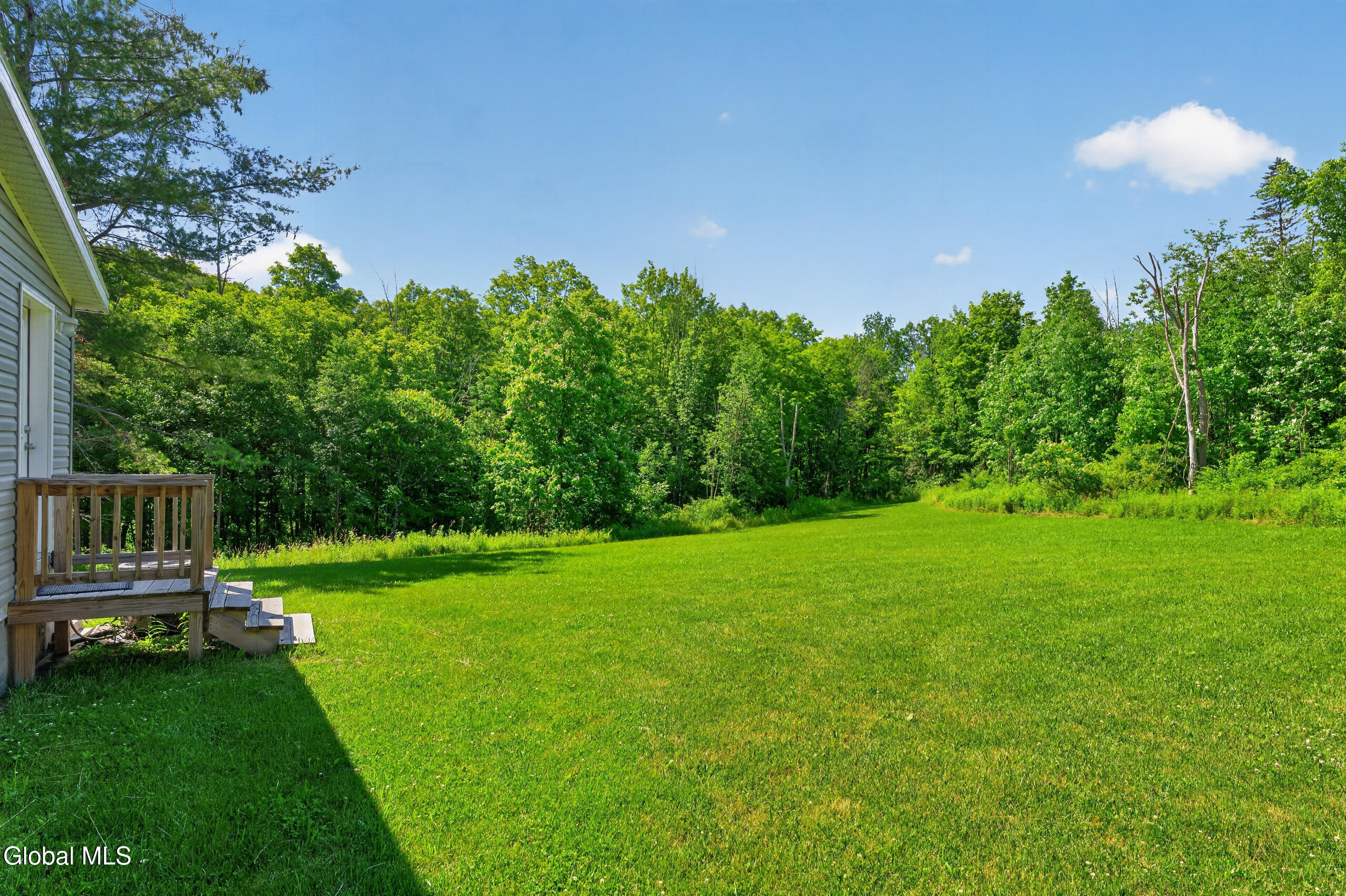 119 County Road 354 Rensselaerville, NY 12469 - Photo 29 of 35 Yard 1
